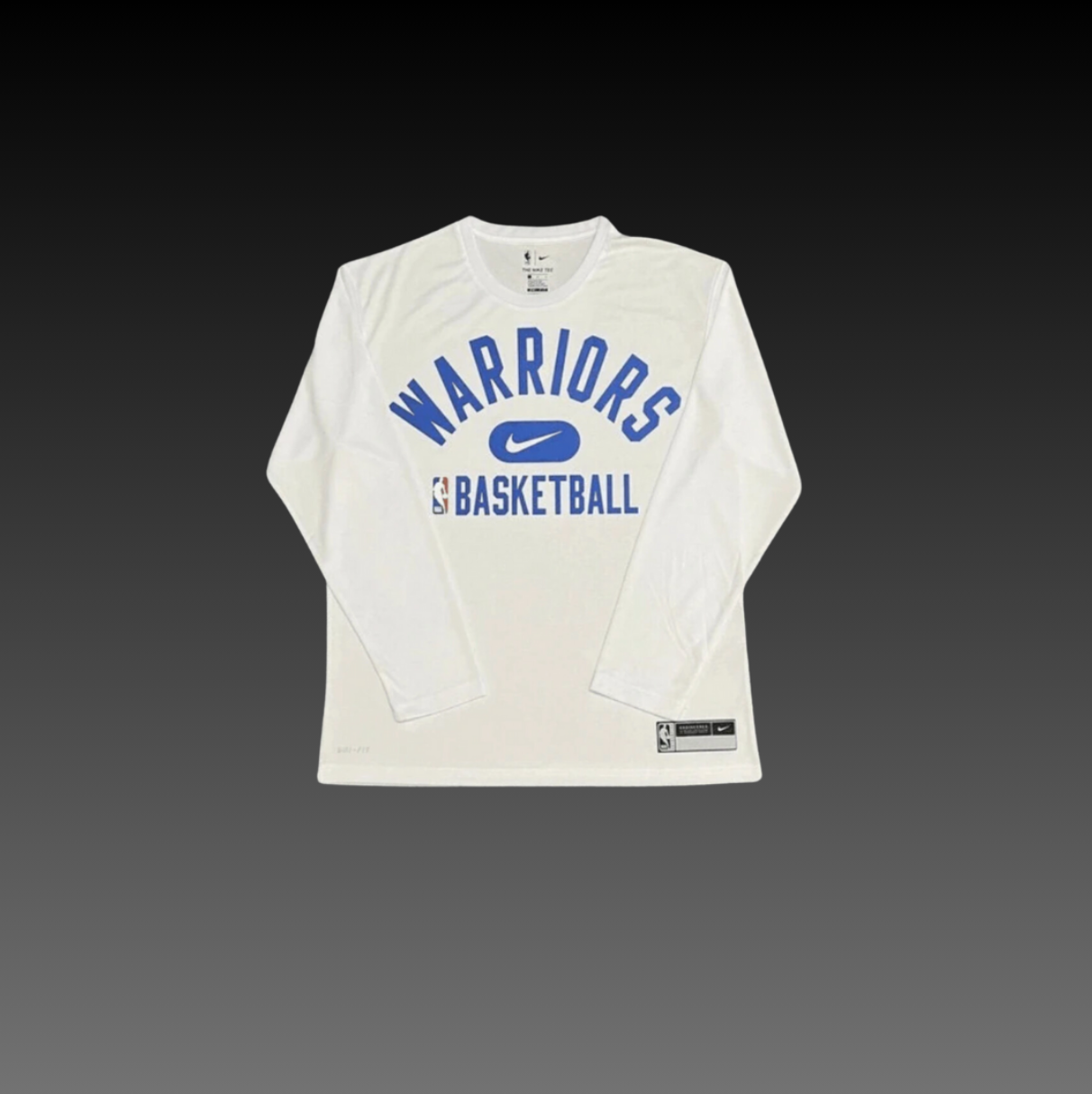 Hoop Armour™ Golden State Performance Longsleeve